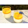 panna cotta coulis de mangue 